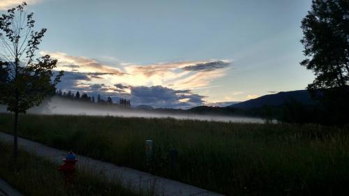 13775441_10154039580717771_4751049556014136085_n