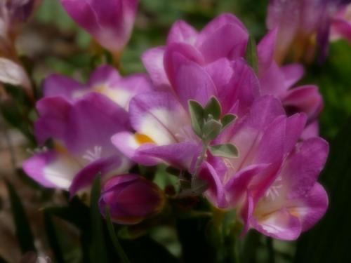 15:09:54 GMT-0800 (PST)