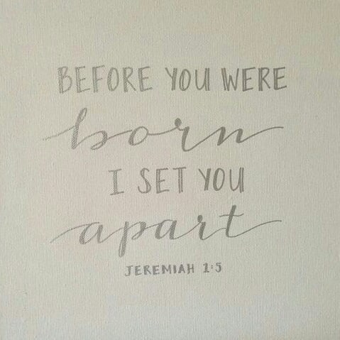 2018-09-02 19.10.58 1859867109061198404_5403409862