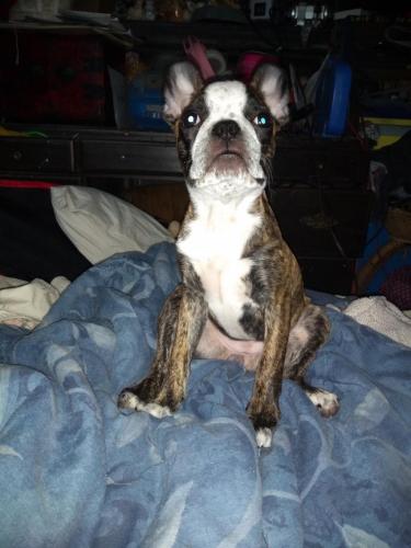 06:58:31 GMT-0600 (CST)