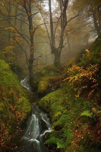 tumblr_mvqb5uas1n1s4uwt4o1_r1_500