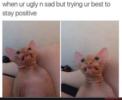 13:36:29 GMT-0600 (CST).image