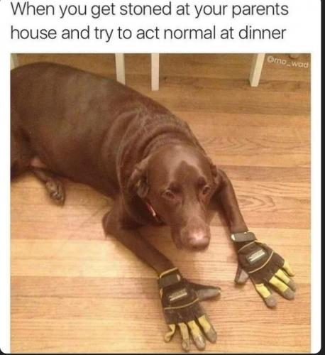 06:28:24 GMT-0600 (CST)