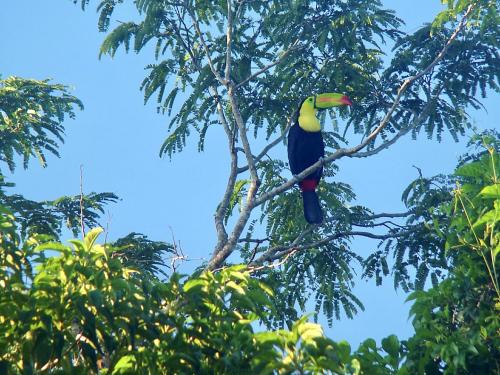 5D210439-797D-442B-84FD-F7E704B10F34