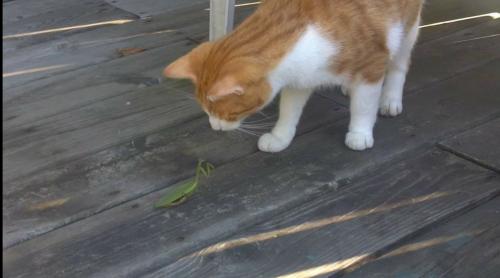 22:51:12 GMT-0500 (EST)