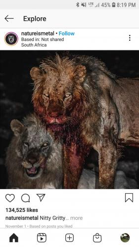 17:56:15 GMT-0600 (CST)