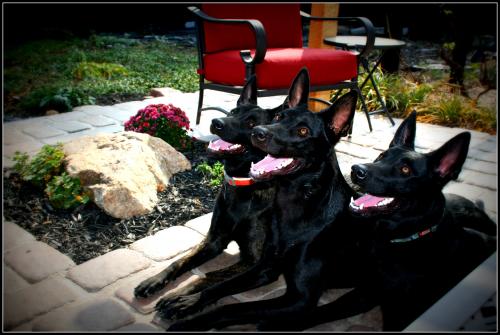 09:53:15 GMT-0500 (EST).image