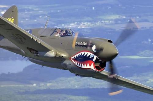 128537589_199234078435984_804436803751027977_n