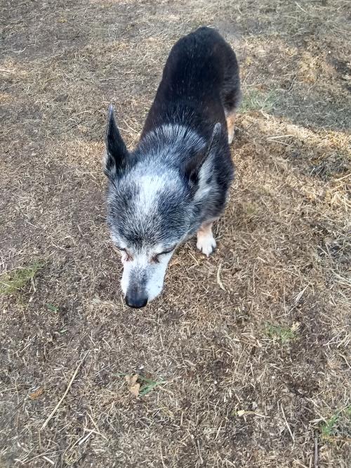 20:03:40 GMT-0600 (CST)