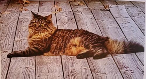 00:07:02 GMT-0500 (EST)