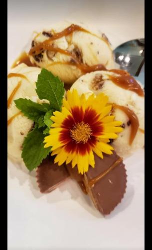 21:19:40 GMT-0600 (CST)