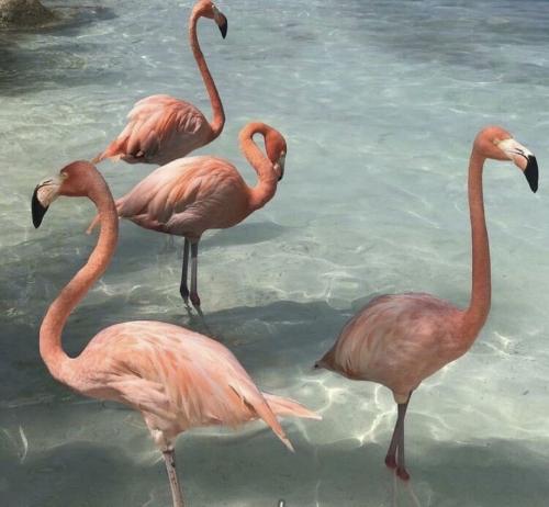 13:47:42 GMT-0500 (EST).image