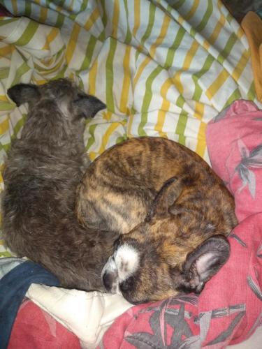 08:35:18 GMT-0600 (CST)