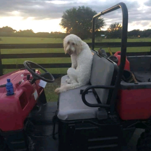 16:12:41 GMT+0100 (WAT)