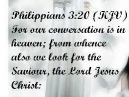 CC01D7DA-FFC4-491B-87D3-22C2417D83A8