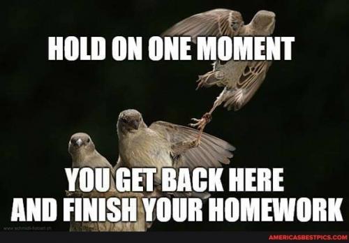 04:25:38 GMT-0600 (CST).image