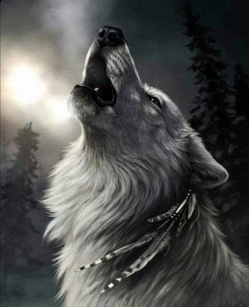 00:11:49 GMT-0600 (CST).image