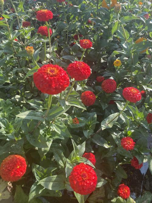 C4498E2E-3D07-464B-9BCC-24DD5ADE5ED6