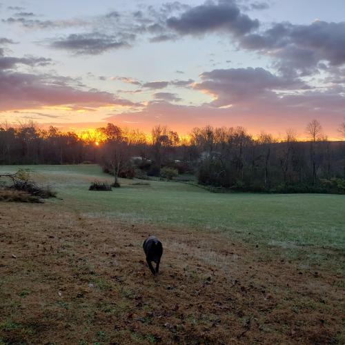 20:08:26 GMT-0600 (CST)