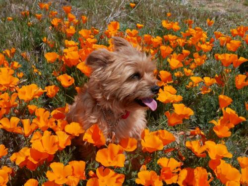 16:40:42 GMT-0800 (PST)