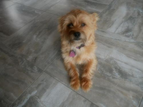 12:02:07 GMT-0800 (PST)