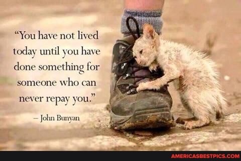 14:37:02 GMT-0600 (CST).image