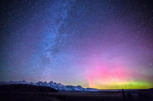 43F15B58-EB91-4DC0-BBFE-4D47895BE742