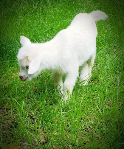 21:33:48 GMT-0600 (CST)