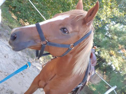 22:05:08 GMT-0600 (CST)