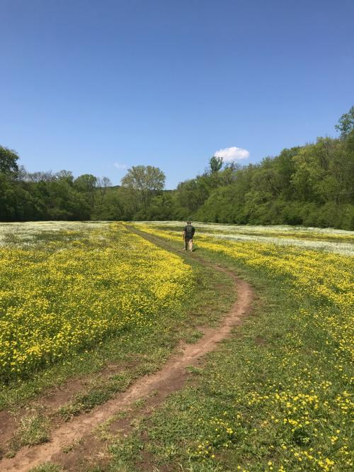 20:20:10 GMT-0600 (CST)