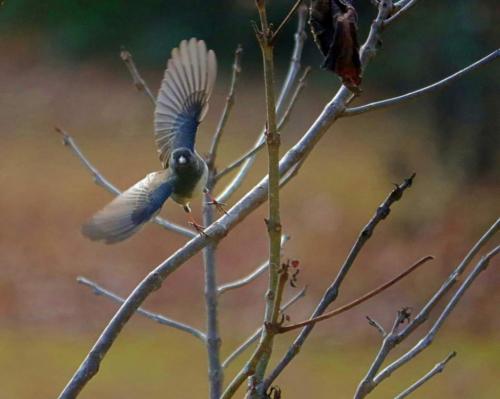 21:29:11 GMT-0600 (CST)