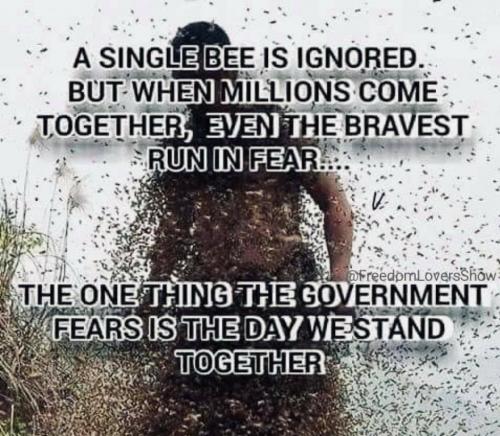 23:17:01 GMT-0600 (CST)