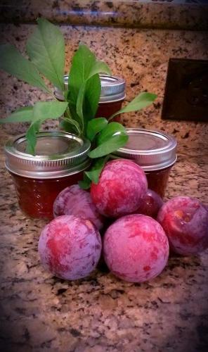 FB_IMG_1605313565348