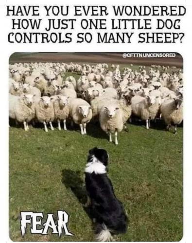 06:06:51 GMT-0500 (EST)