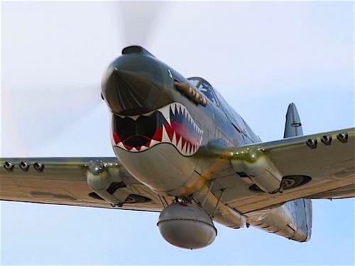 128076394_3593767557335495_4681901506442792003_n