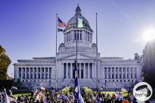 Stop The Steal WA_11-08-2020-30