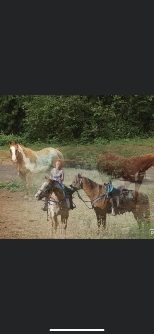 13:40:55 GMT-0800 (PST).image