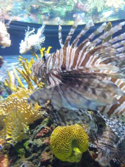 18:24:28 GMT-0600 (CST)