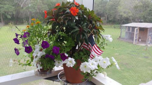 21:00:38 GMT-0500 (EST)