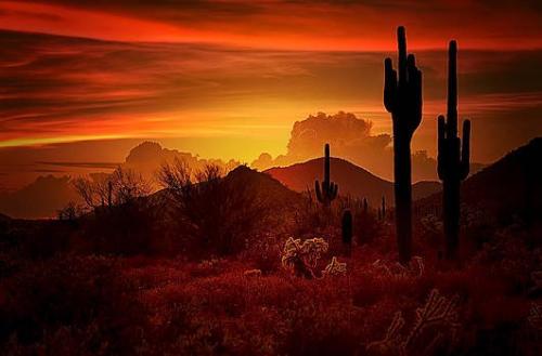 126807515_3438201809549530_6920548909052924623_n