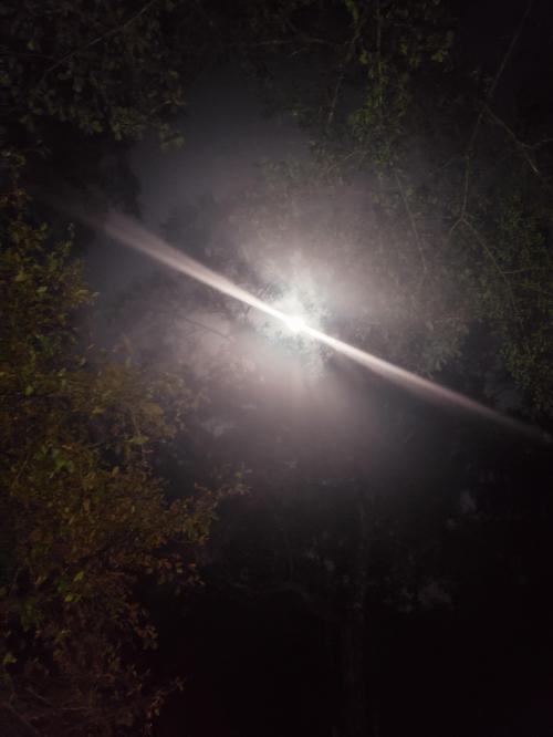 16:16:11 GMT-0600 (CST)