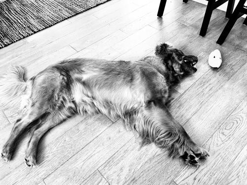 12:38:31 GMT-0800 (PST).image