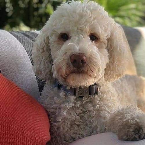 21:20:39 GMT+0100 (WAT)