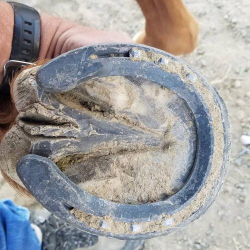 IMG_20201005_192834_987