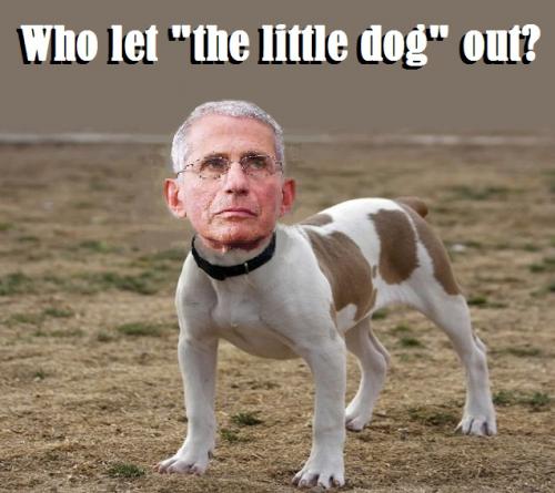 external-content.duckduckgo.com#10