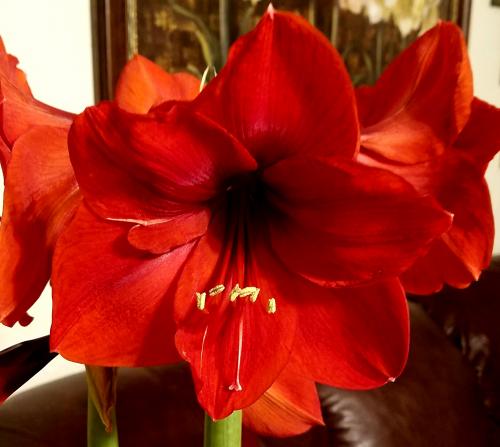 10:22:02 GMT-0600 (CST)