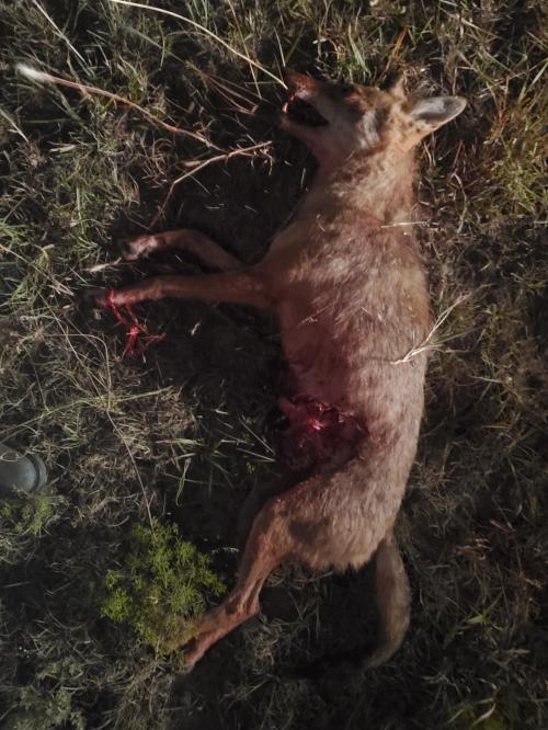 18:37:49 GMT-0600 (CST)