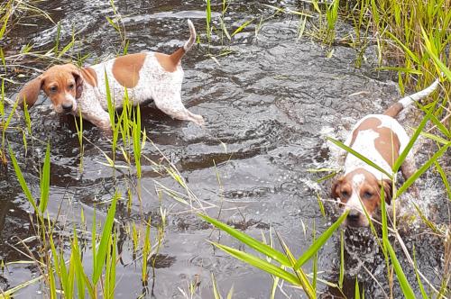 11:09:42 GMT-0500 (EST)