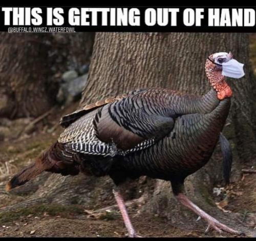 13:01:21 GMT-0500 (EST)