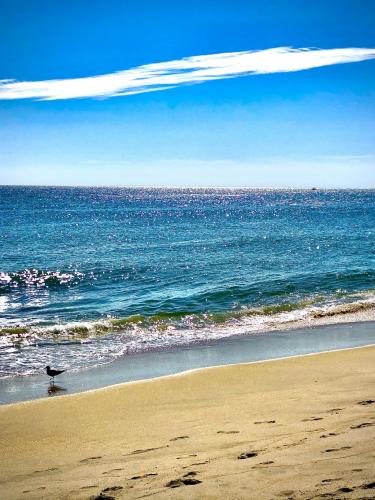 10:46:33 GMT-0500 (EST).image